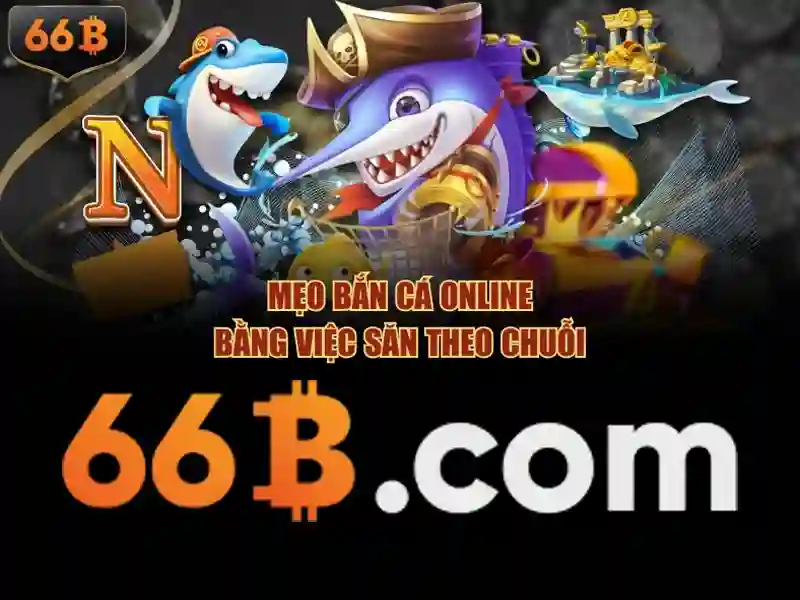 trang web 66b có thật không – sự thật, trải nghiệm và đánh giá